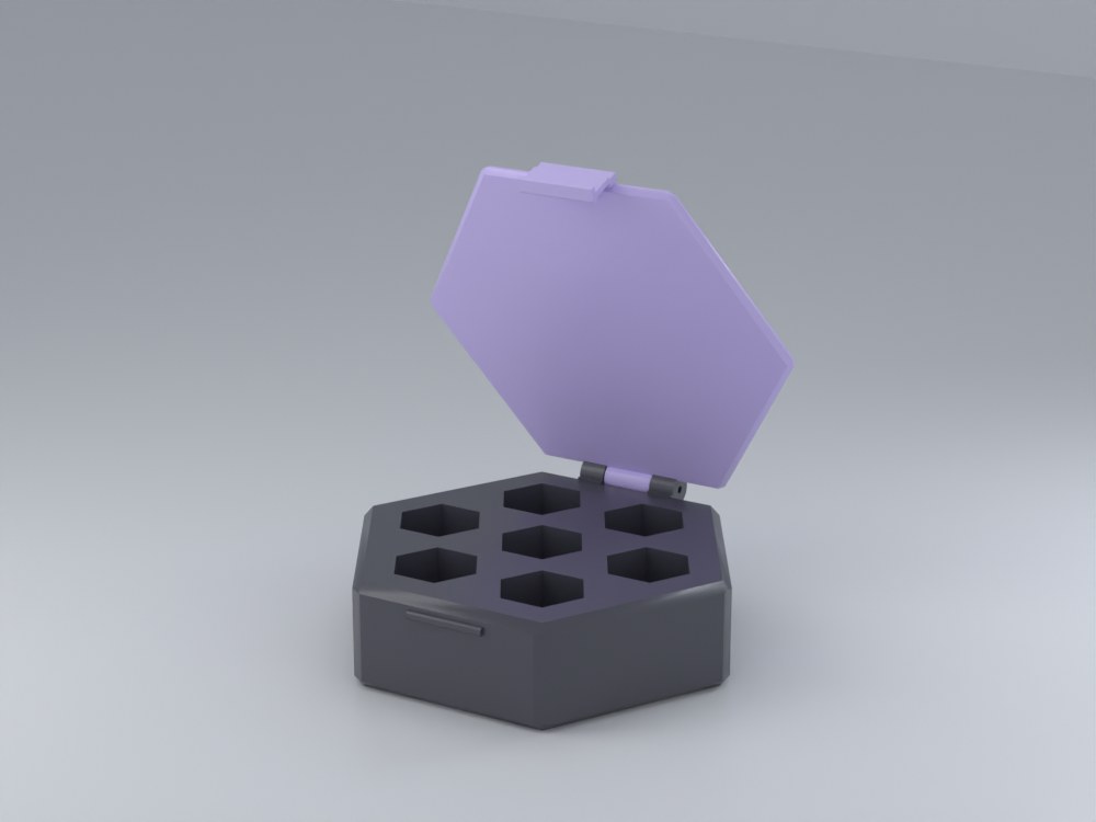Facet Supplement Case